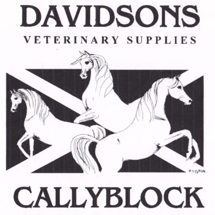 DAVIDSONS CALLY BLOCK 20kg-0