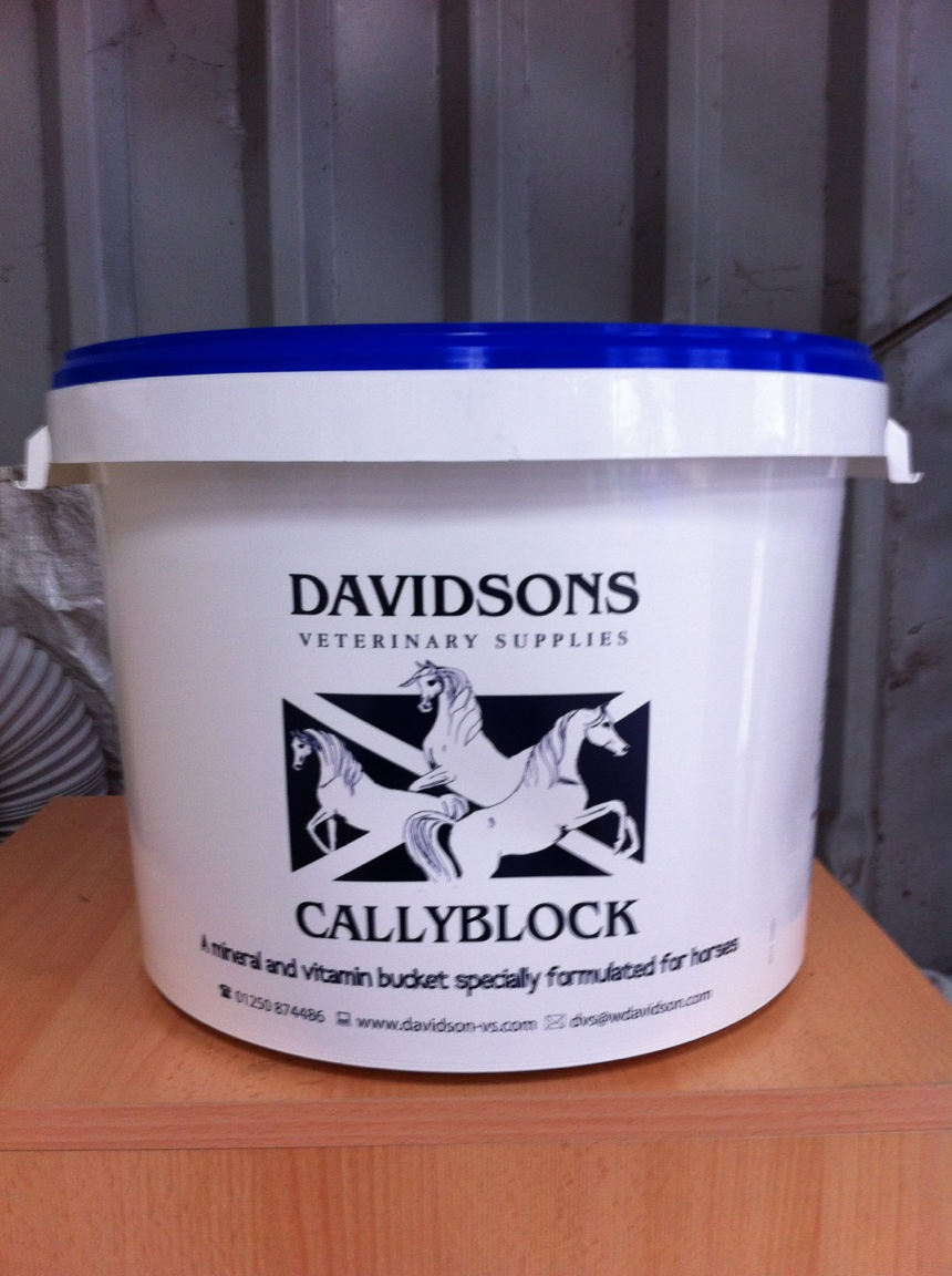 DAVIDSONS CALLY BLOCK 20kg-3767
