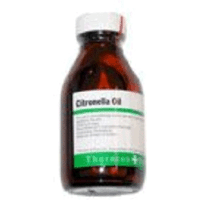CITRONELLA OIL 100ML-0