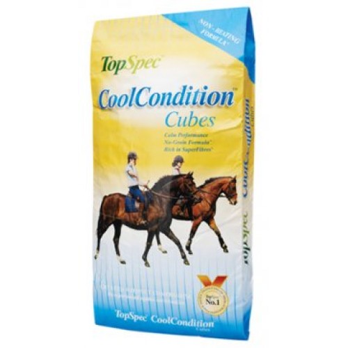 TOP SPEC COOL CONDITION CUBES-0 TOP SPEC COOL CONDITION CUBES-0