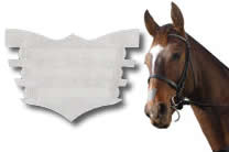 FLAIR NASAL STRIPS-0