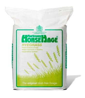 HORSEHAGE GREEN RYEGRASS-0