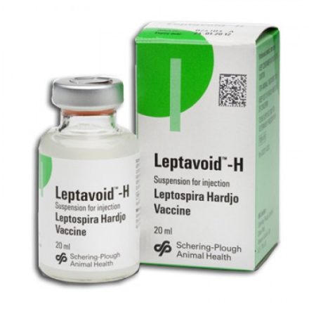 LEPTAVOID H 20ML-0