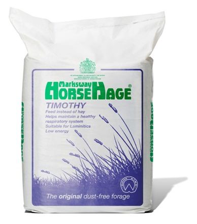 HORSEHAGE PURPLE TIMOTHY-0