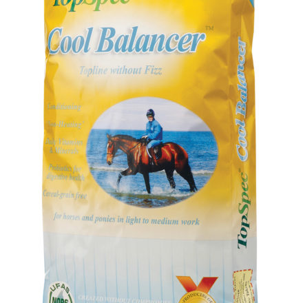 TOP SPEC COOL BALANCER-0