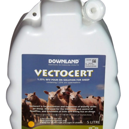 VECTOCERT SHEEP POUR ON 5L-0