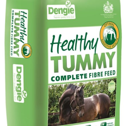 DENGIE HEALTHY TUMMY 20KG-0