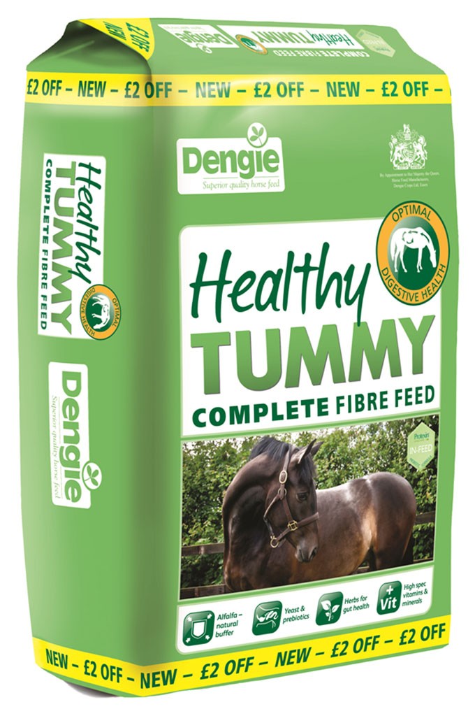 DENGIE HEALTHY TUMMY 20KG-0