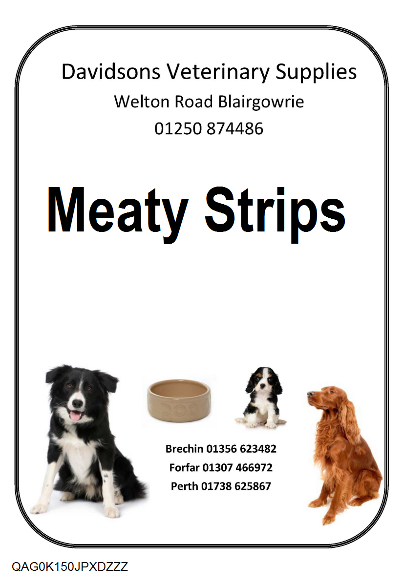 DAVIDSONS MEATY STRIPS 150G-1591
