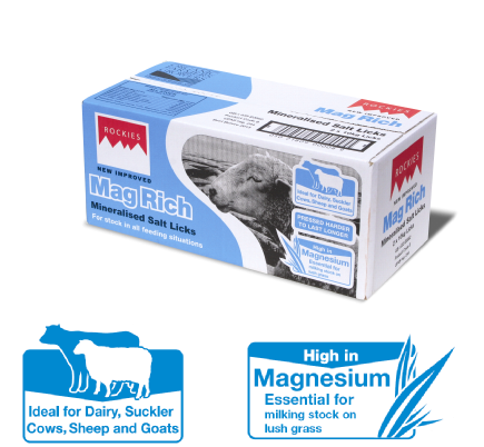 ROCKIES MAG RICH SALT LICK 2 X 10KG -0