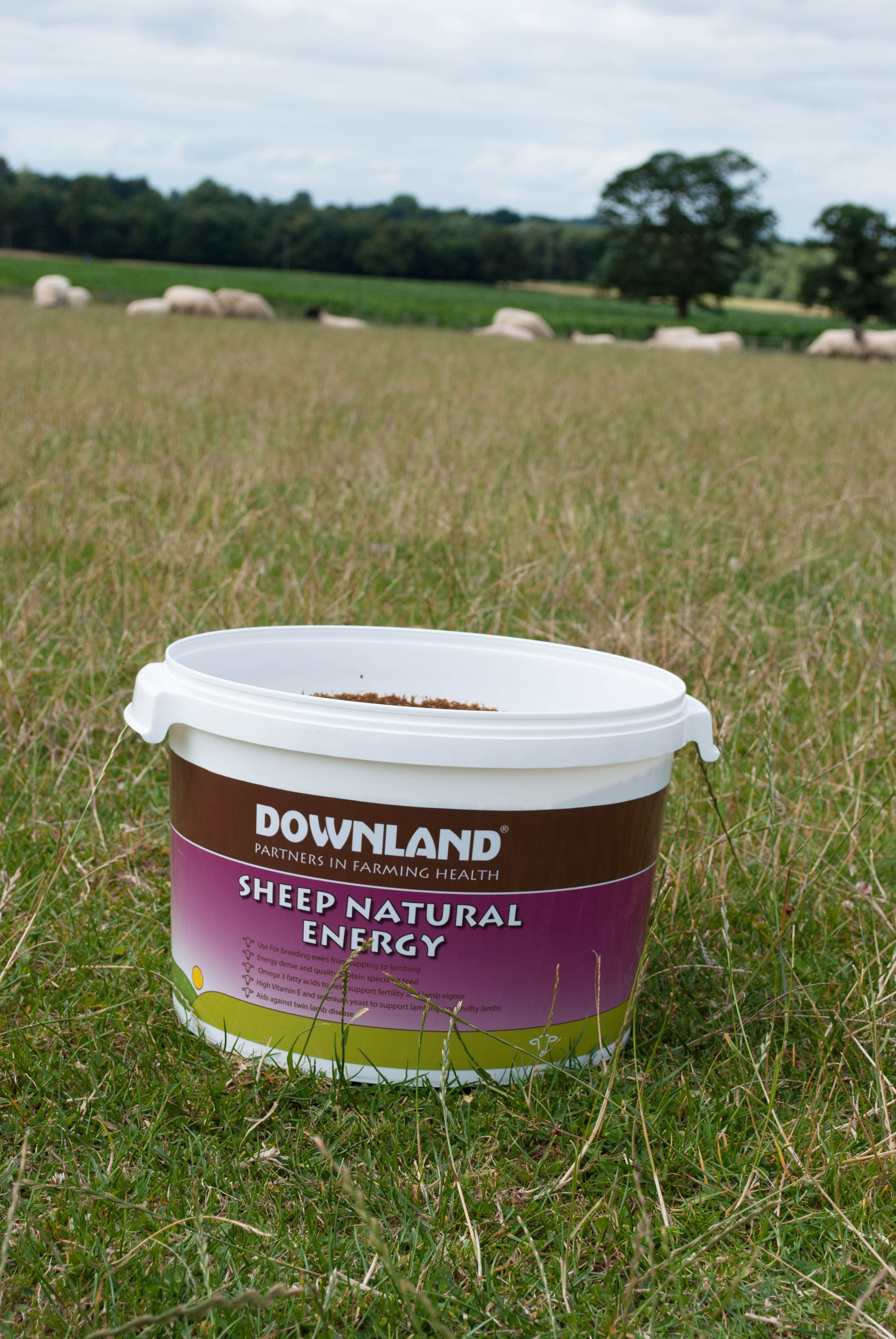 DOWNLAND SHEEP NATURAL ENERGY BUCKET 25KG-6856
