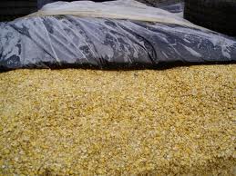 CLINGSEAL CLAMP FILM 11 X 50M-0