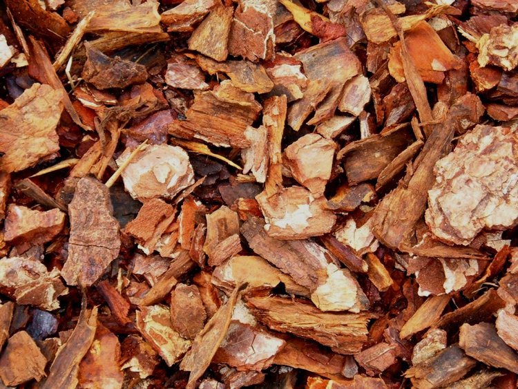 DECORATIVE BARK 75L-0 DECORATIVE BARK 75L-0