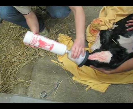 McCULLOCH CALF RESPIRATOR / ASPIRATOR-0