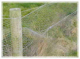 RABBIT WIRE 1050mm x 50m-3274