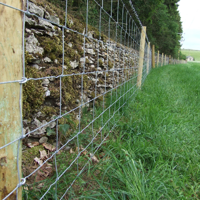 STOCKFENCE LAMBSAFE 100M HT8/80/22-3405