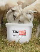 ZINTEC 3 IN 1 MINERAL BUCKET 20KG-4052
