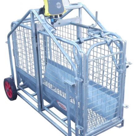 RITCHIE ELECTRONIC 664 LAMB WEIGHER C/W TRUTEST EAZIWEIGH 7i READER -0