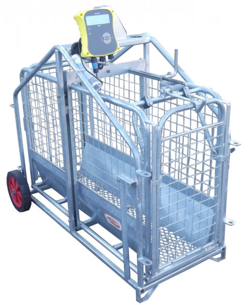RITCHIE ELECTRONIC 664 LAMB WEIGHER C/W TRUTEST EAZIWEIGH 5i READER-0 RITCHIE ELECTRONIC 664 LAMB WEIGHER C/W TRUTEST EAZIWEIGH 5i READER-0