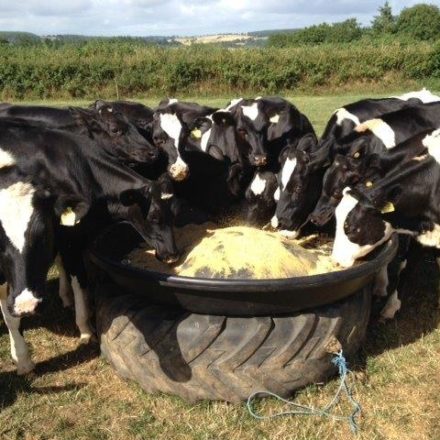 JFC RFL 2 ROUND FEEDER-0