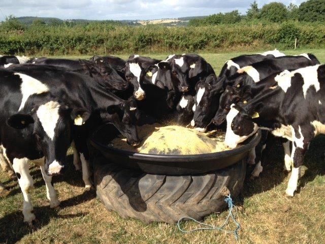 JFC RFL 2 ROUND FEEDER-0