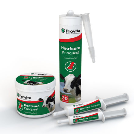 PROVITA KONQUEST GEL 30G TUBE-0