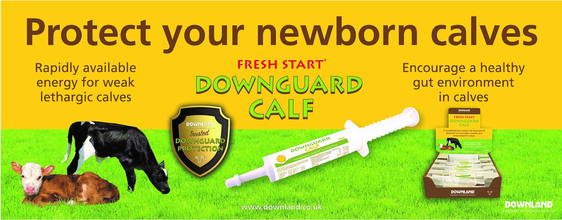 DOWNLAND DOWNGUARD CALF PASTE-8319