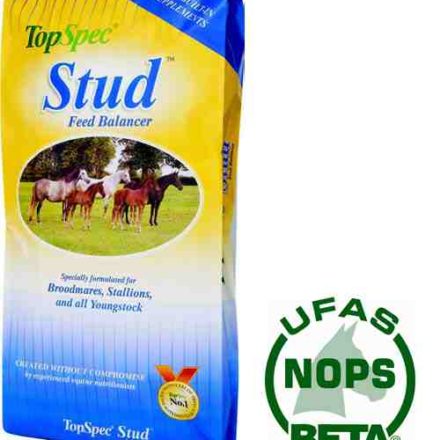 TOP SPEC STUD BALANCER 20KG-0