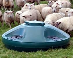 STURDY MOLASSES FEEDER-7706