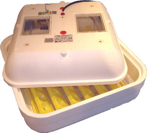 HOVA BATOR AUTOMATIC INCUBATOR-0