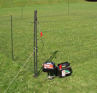 HOTLINE POULTRY NET HOT GATE -0