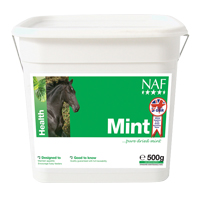 NAF MINT 500G-0