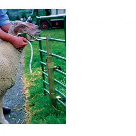 SHEEP HEADSTOCK ( CLAMP ON STYLE )-0