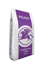 PEGASUS CONDITIONING CUBES 20KG -0