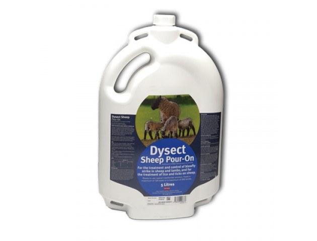 DYSECT SHEEP POUR ON 5L-0
