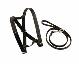 LEATHER SHEEP SHOW HALTER AND LEAD-0