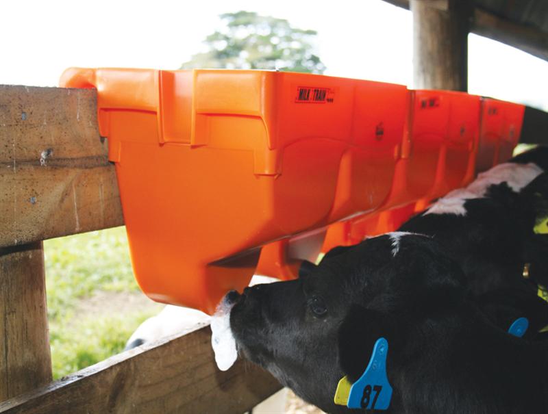 SHOOF MILKTRAIN CALF FEEDER-6035