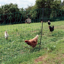 RUTLAND POULTRY NET GREEN 50M 28-159-0