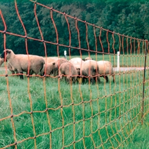 RUTLAND SHEEP NET SINGLE SPIKE 50M 28-170-6168