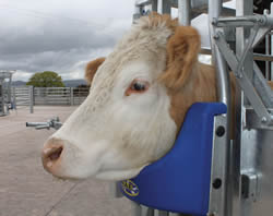 SUPER SCOOP WELD ON CRUSH BRACKETS-0