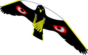 PORTEK TERROR HAWK-0