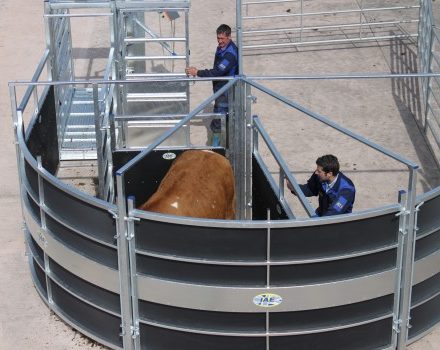 IAE PORTABLE ROTEX CATTLE HANDLING SYSTEM-0