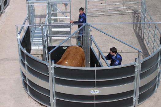 IAE PORTABLE ROTEX CATTLE HANDLING SYSTEM-0 IAE PORTABLE ROTEX CATTLE HANDLING SYSTEM-0
