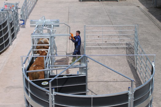 IAE PORTABLE ROTEX CATTLE HANDLING SYSTEM-6993 IAE PORTABLE ROTEX CATTLE HANDLING SYSTEM-6993