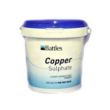 COPPER SULPHATE 450G-0