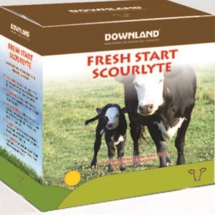 DOWNLAND SCOURLYTE 10 X 100G SACHETS-0