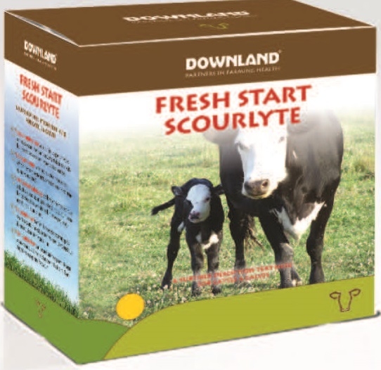 DOWNLAND SCOURLYTE 10 X 100G SACHETS-0