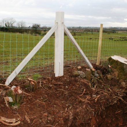 CONCRETE OX STRAIN STRAINER-0