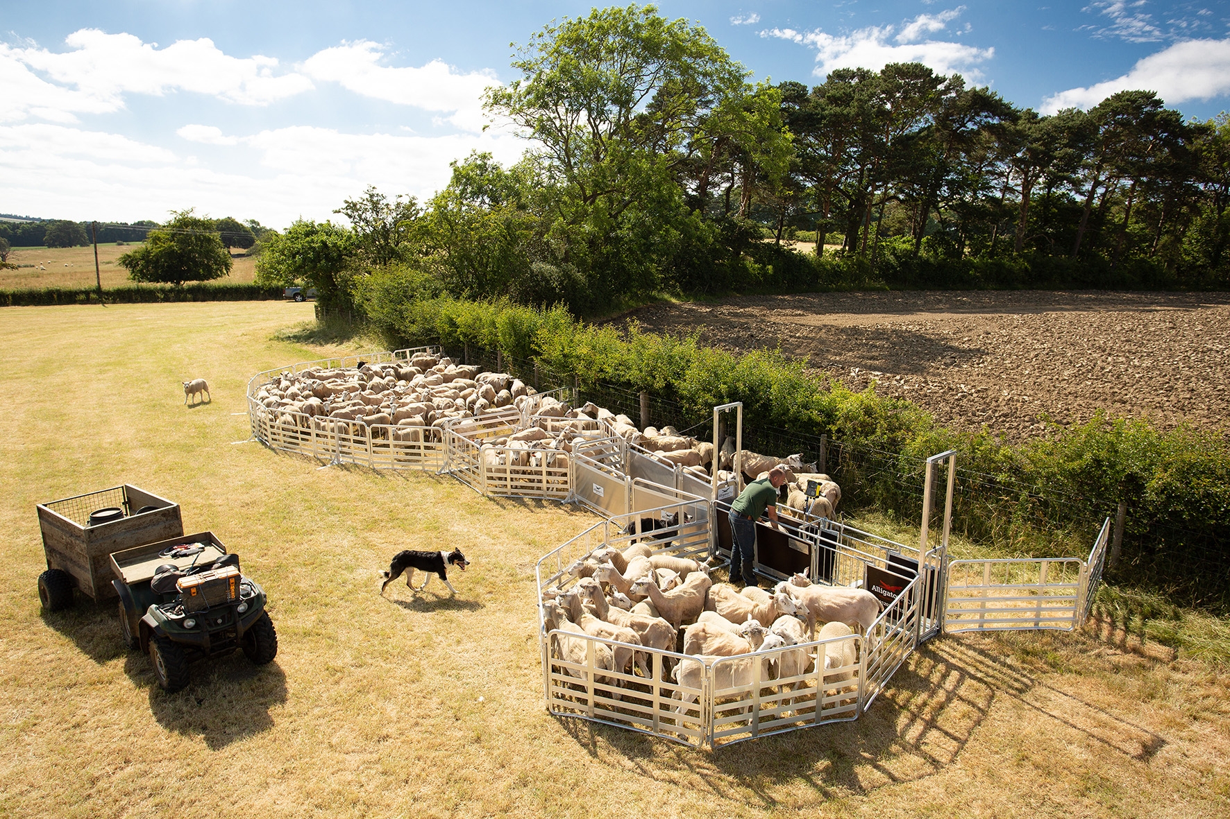 ALLIGATOR PRO 500 HANDLING SYSTEM ( ELECTRIC WINCH )-7921