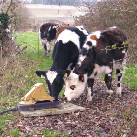 AQUAMAT 2 PASTURE PUMP-0